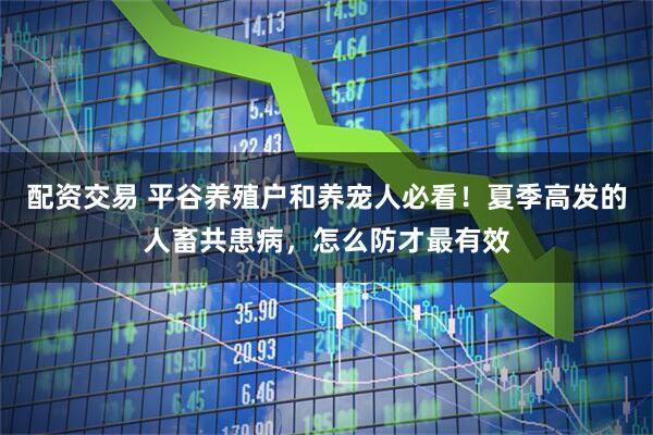 配资交易 平谷养殖户和养宠人必看！夏季高发的人畜共患病，怎么防才最有效